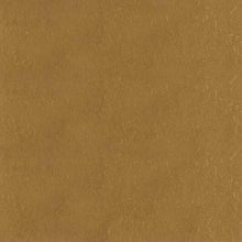 Load image into Gallery viewer, Gold