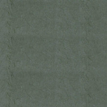 Load image into Gallery viewer, Glimmering Kale