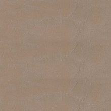 Load image into Gallery viewer, Glint Of Taupe