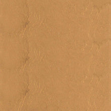 Load image into Gallery viewer, Polished Penny